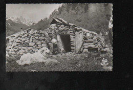 Cpsm Les Pyrénées Types Régionaux Haute Montagne Cabane De Berger - Midi-Pyrénées