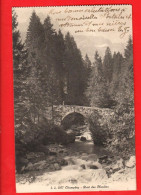 XZI-02  Champéry  Le Pont Des Moulins. Jullien 1077  Circulé 1920 - Champéry