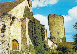 78 - Maurepas - Donjon - Ferme Seigneuriale - Maurepas