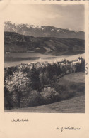 E3153) MILLSTATT - Schöllhorn - FOTO AK - Alt ! - Millstatt