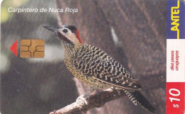URUGUAY - Bird, Carpintero De Nuca Roja(202a), 10/01, Used - Autres & Non Classés