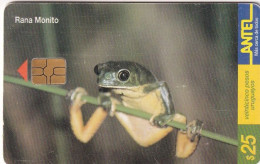 URUGUAY - Frog, Rana Monito(96a), 02/00, Used - Autres & Non Classés
