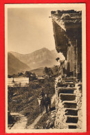 XZI-13  Val D'Illiez  Mulet, Paysannes, ANIME.. Phototypie 2639  Circulé 1916. - Val-d'Illiez 
