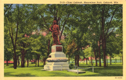 OSHKOSH, WISCONSIN, PARK, ARCHITECTURE, STATUE, UNITED STATES, POSTCARD - Oshkosh