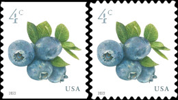 Etats-Unis / United States (Scott No.5651a - Blueberries) [**] Reg & Coil - Unused Stamps