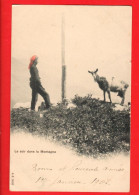 XZI-22  Région Champéry Val-d'Illiez, Paysanne Foulard Rouge Et Sa Chèvre. Le Soir Dans La Montagne. Circ.sous Env. 1902 - Champéry