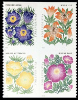 Etats-Unis / United States (Scott No.5679a - Mountain Flora) [**] MHN Center Bloc Of 4 - Neufs