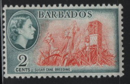 Barbados 1953-57 MH Sc 236 2c Sugar Cane Breeding, QEII - Barbados (...-1966)