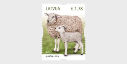 Latvia.2024.Domestic Animals.(Sheep).1 V. ** .(Self-adhesive Stamp). - Lettonie