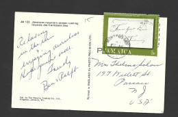 Jamaica 1972 PPC Postcard Of Mountain Stream Montego Bay To USA 5c Postal Anniversary Franking - Jamaica (1962-...)