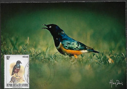 COTE D'IVOIRE 1980 CARTE MAXIMUM OISEAUX  YVERT N°565A - Storchenvögel