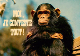 73953402 Affen Moi Je Conteste Tout  - Singes