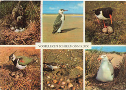 CPSM Vogelleven Schiermonnikoog-Multivues-Timbre-RARE       L2601 - Schiermonnikoog