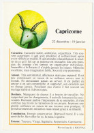 CPSM / CPM 10.5 X 15 Astrologie Signes Du Zodiaque Horoscope De J. Rignac CAPRICORNE - Astrología