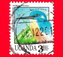 UGANDA - Usato - 1992 - Uccelli - Bird - Martin Pescatore - Shining-blue Kingfisher - 200 /- - Ouganda (1962-...)