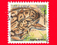 UGANDA - Usato - 1995 -  Fauna - Lucertole - Rettili - Python Regius - 100 - Ouganda (1962-...)