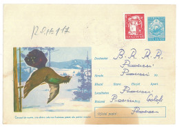 IP 64 A - 045d CAPERCAILLIE, Romania - Registered Stationery - Used - 1964 - Gallináceos & Faisanes