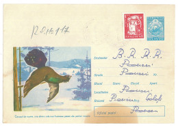 IP 64 A - 045d CAPERCAILLIE, Romania - Registered Stationery - Used - 1964 - Gallinacées & Faisans