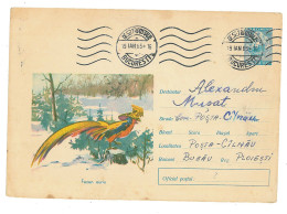 IP 64 A - 043b Bird, PHEASANT, Romania - Stationery - Used - 1964 - Gallináceos & Faisanes