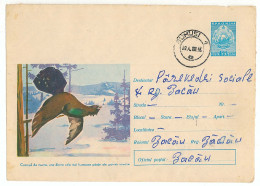 IP 64 A - 045a Bird, CAPERCAILLIE, Romania - Stationery - Used - 1964 ( Red Back ) - Gallináceos & Faisanes