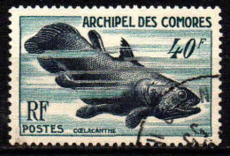 France DOM-TOM - 1954  - Archipel Des Comores - Faune  - N° 13  - Oblit - Used - Usati