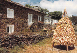 Sao Miguel - Maison Rurale - Açores