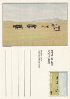 Transkei, Unused Postcard - Transkei