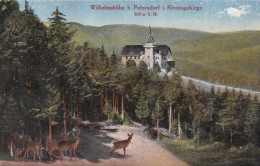 PETERSDORF I. RIESENGEBIRGE - POLAND - POLOGNE - POSTCARD - FELDPOST ANSICHTKARTE 1918. - Ehemalige Dt. Kolonien