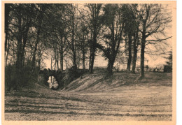 CPA Carte Postale Belgique Mariemont  Pont Rustique Et Château   VM76632 - Morlanwelz