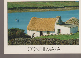 C.P. -  PHOTO - CONNEMARA - PETER ZOLLER - SP 276 - INSIGHT - Galway