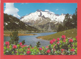 C.P.M.( 65 )  « LAC D'AUMAR » Commune De La Vielle Aure - Jolie Vue Générale  X2phots - Vielle Aure