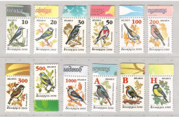 Belarus 2006, Bird, Birds, Sparrow, Set Of 12v, MNH** - Mussen