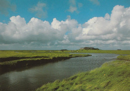 1 AK Germany / Schleswig-Holstein * Die Hallig Langeness * - Halligen