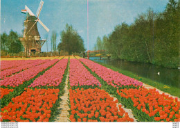 CPM Keukenhof Lisse Holland - Lisse