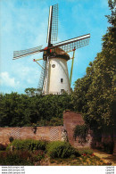 CPM Rhenen Holland Panoramamolen Type Round Brick Mill With A Reefling Stage Moulin A Vent - Rhenen