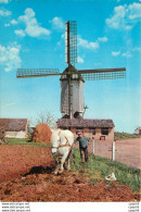 CPM Holland Land Of Wind Mille Moulin A Vent - Erythrée