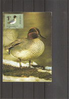 Canards ( CM De Pologne De 1985 à Voir) - Ducks