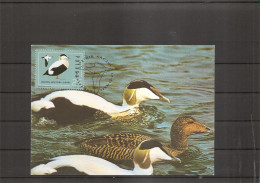 Canards ( CM De Pologne De 1985 à Voir) - Entenvögel