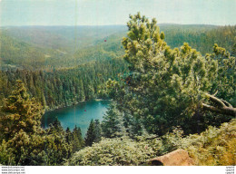 CPM Der Wildsee Bei Ruhestein - Hochschwarzwald