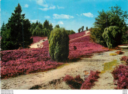 CPM Totengrund Im Naturschutzpark - Luenen