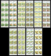 ● RWANDA 1983 RUANDA ֍ Campagna Contro EROSIONE ֍ Serie Completa X 10 ● Cat 85 € ● Lotto N. XX ● - Unused Stamps