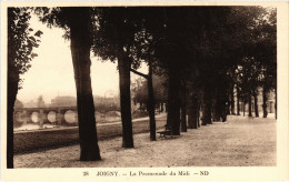 Delcampe - CPA Joigny La Promenade Du Midi (1184195) - Joigny