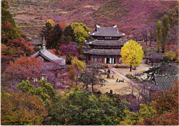 CPM Geumsan-sa Temple KOREA (1184580) - Corée Du Sud