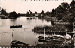 CPM Villeblévin Bords De L'Yonne Port-Renard (1184234) - Villeblevin