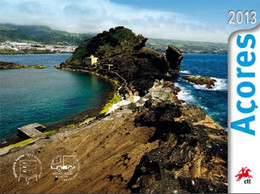 Portugal ** & Azores Annual Stamps 2013 (98799) - Libretti