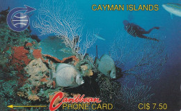 CAYMANN INSELN-1 CCIB - Iles Cayman