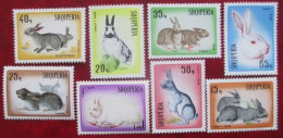 Albania  1967  Animals  Rabbits. 8 V  MNH - Hasen