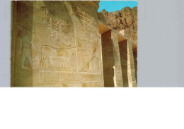 Louxor, Relief Du Hathor - Luxor