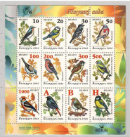 Belarus 2006, Bird, Birds, Sparrow, Sheet  Of 12v, MNH** - Spatzen