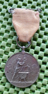 Medaille - 1938   Oranje Boven Geboortemarsch - U.P.S 16 Km. -  Original Foto  !!   Medallion Dutch Royalty 1938 - Royal/Of Nobility